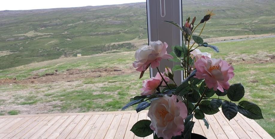 Studlagil Canyon Country Home Grund Exteriör bild